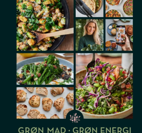 Grøn mad – Grøn energi